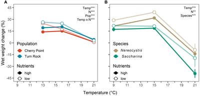 Interactive effects of temperature and nitrogen on the physiology of kelps (Nereocystis luetkeana and Saccharina latissima)